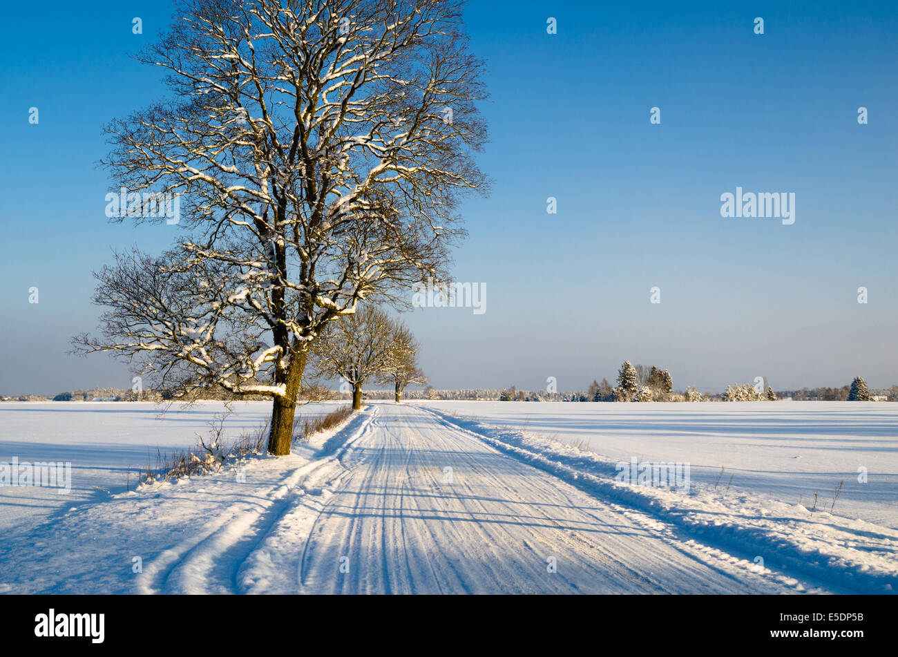 Winter landscape with road to a countryside Stock Photo - Alamy