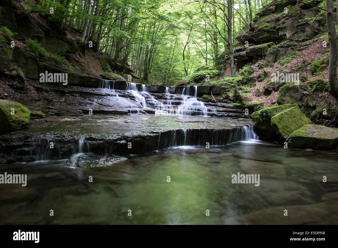 Water stream in a forest in Tuscany, Italy Stock Photo