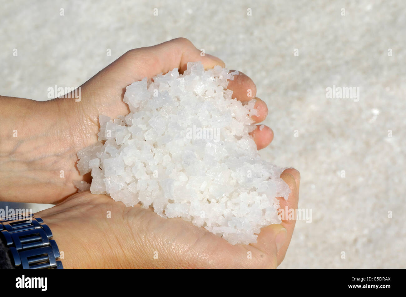 hands full of sea salt, Trapani, Sicily Stock Photo