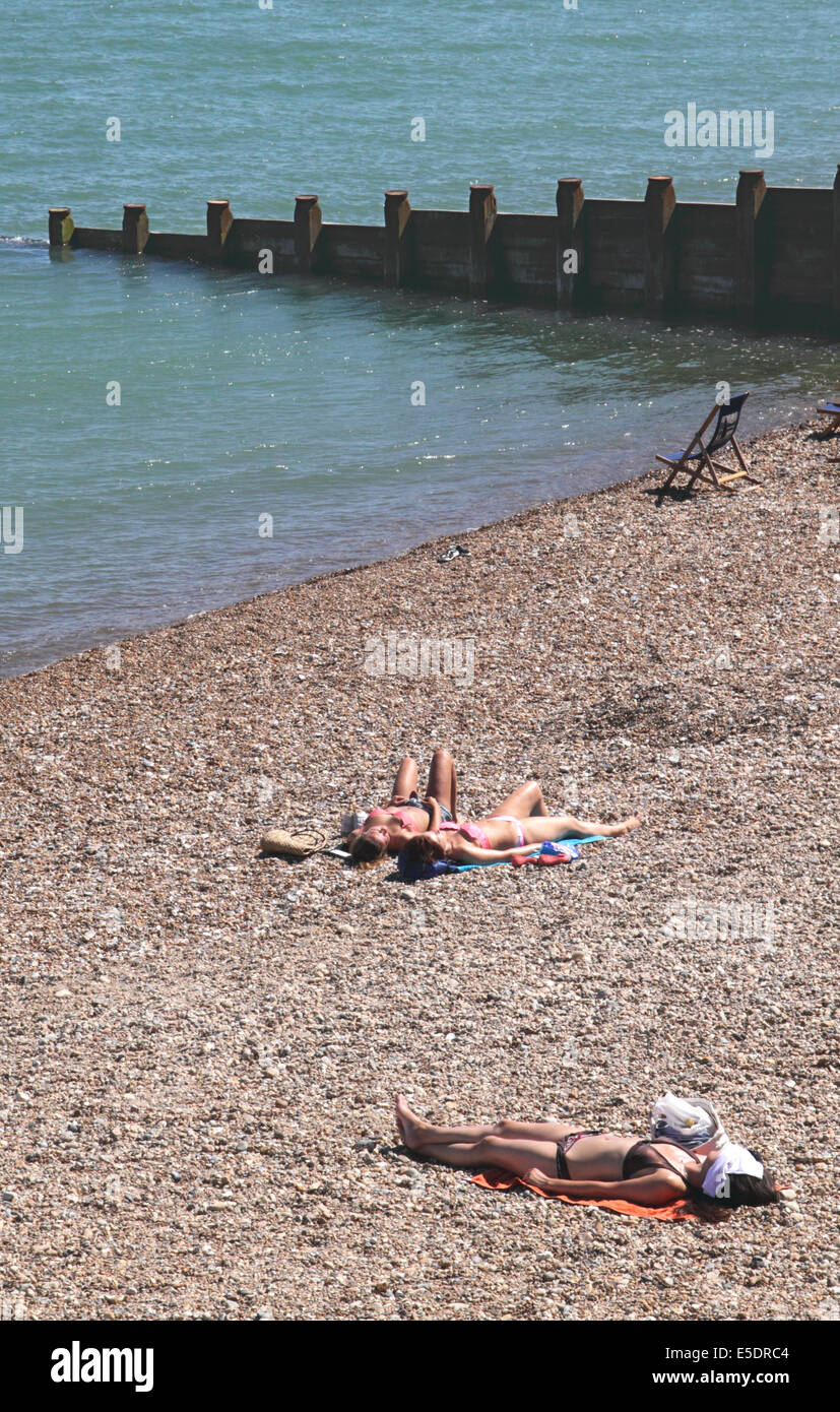 Sunbathers on Eastbourne beach summer 2014 Stock Photo - Alamy, image size:827x1390