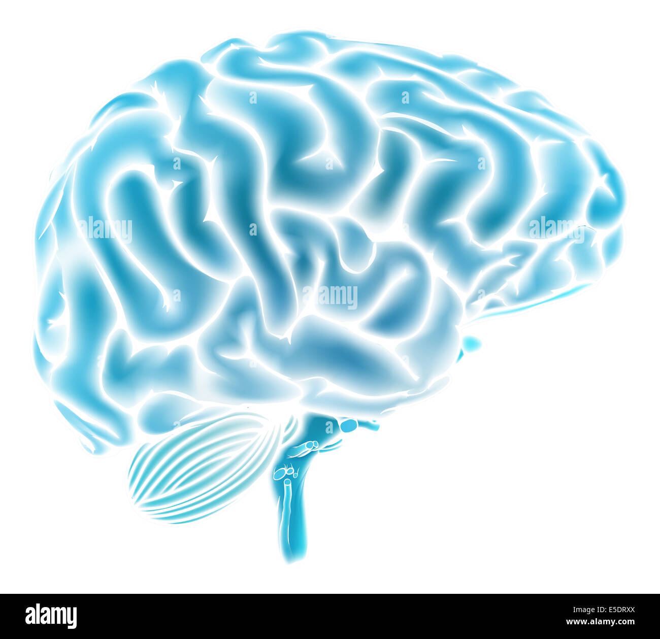 A conceptual illustration of a glowing blue human brain. Could be a concept for a brainstorm or intelligence Stock Photo