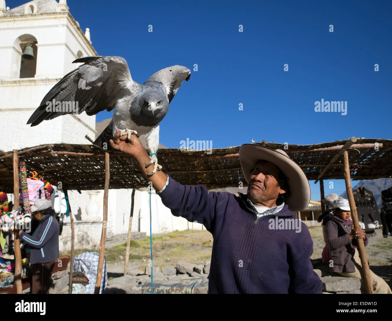 Local man with eagle - Yanque, Peru Stock Photo