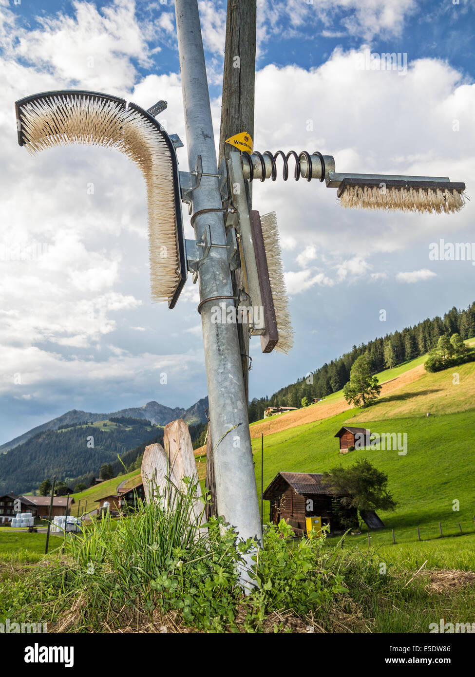Cattle scratching post hires stock photography and images Alamy