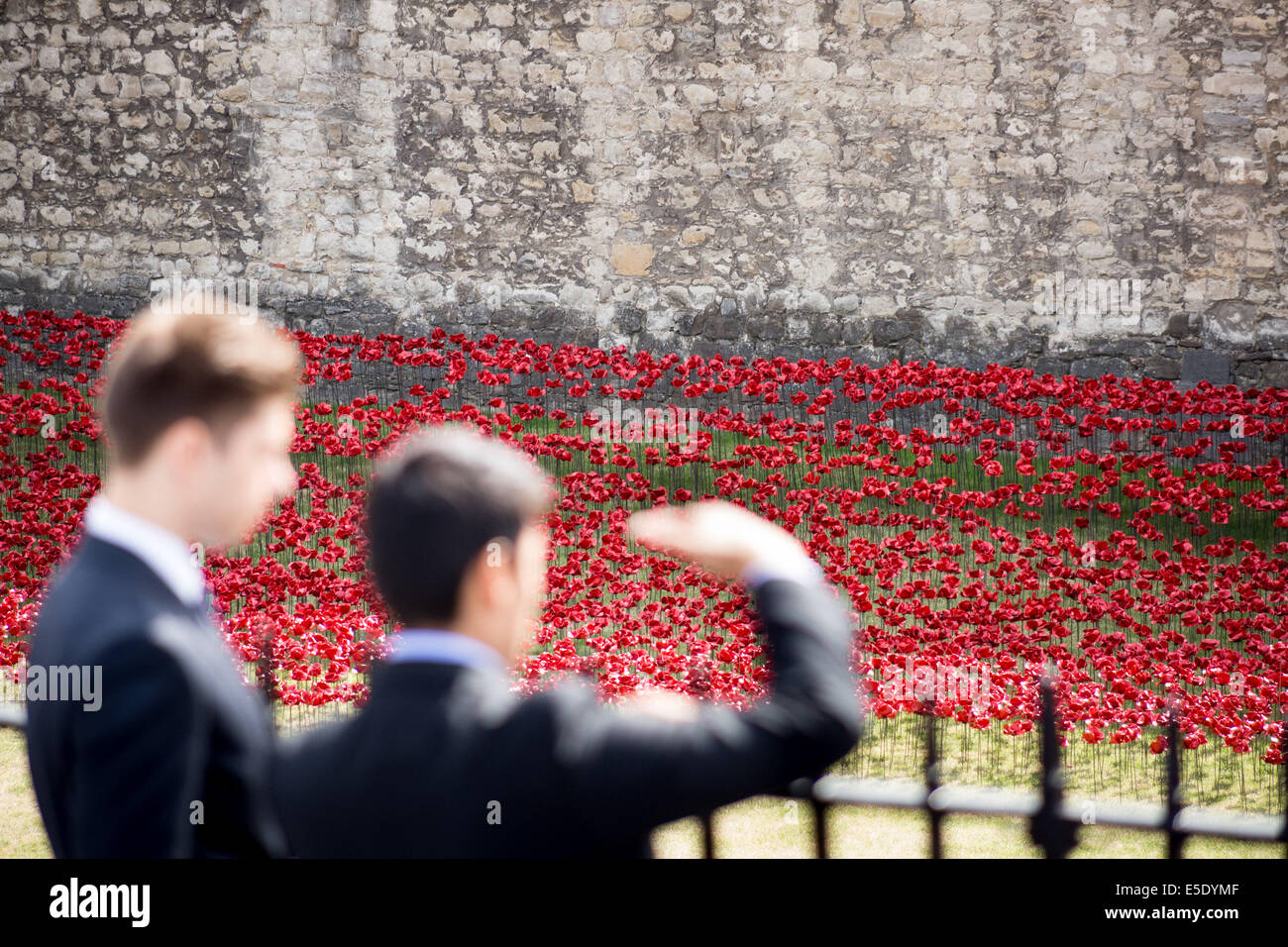 London, UK. 29th July, 2014. Ceramic poppies planted at Tower of London to mark World War I deaths Credit:  Guy Corbishley/Alamy Live News Stock Photo