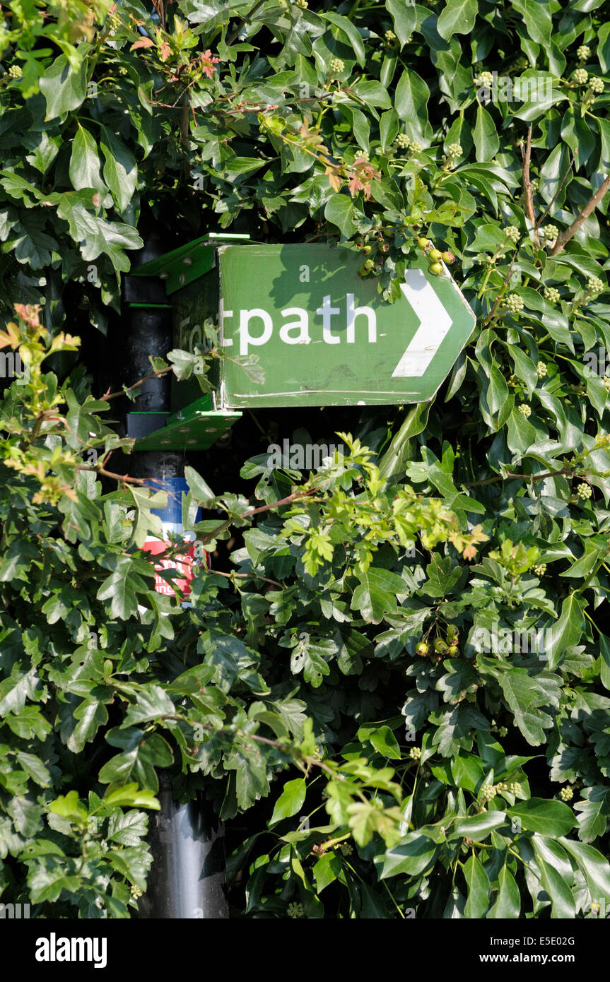 Public Footpath sign, bent and half obscured by a hedge (Kent, England) Stock Photo