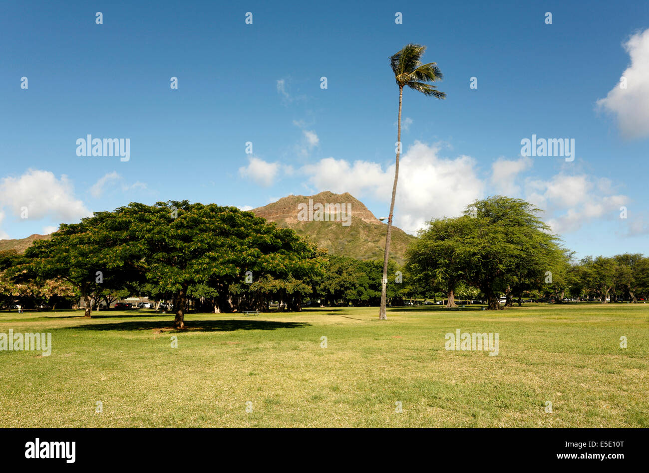 Kapiolani park hawaii hires stock photography and images Alamy