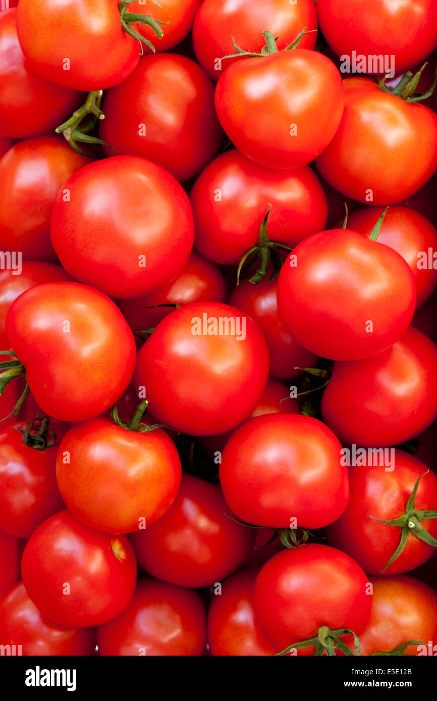 Box full of tomatoes Stock Photo
