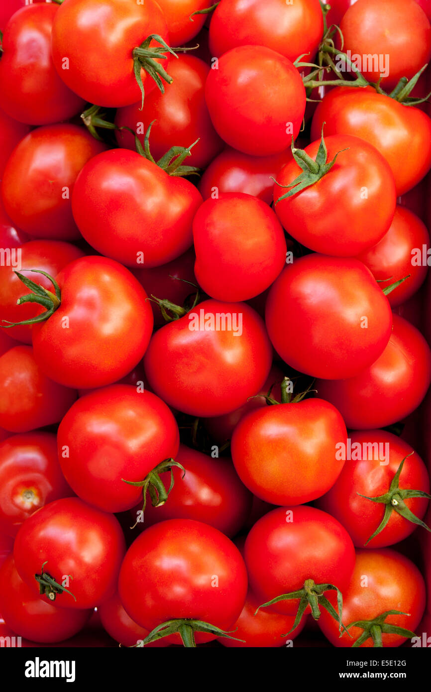 Box full of tomatoes Stock Photo