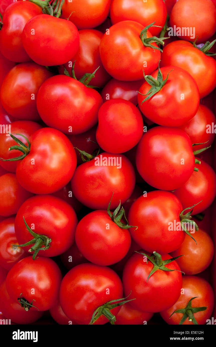 Box full of tomatoes Stock Photo - Alamy