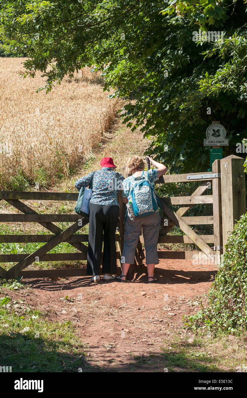 walkers in fields at greenway,Agatha christie,river Dart,style,gates Stock Photo