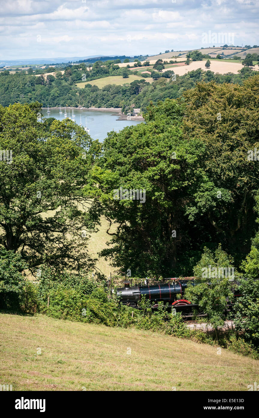 Steam train at Greenway halt railway station,river dart,cows in fields at greenway,Agatha christie,river Dart,clouds, craft, cre Stock Photo