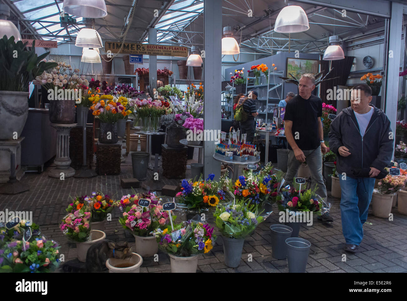 amsterdam, Holland, The Netherlands, Tourists Visiting in Outdoor