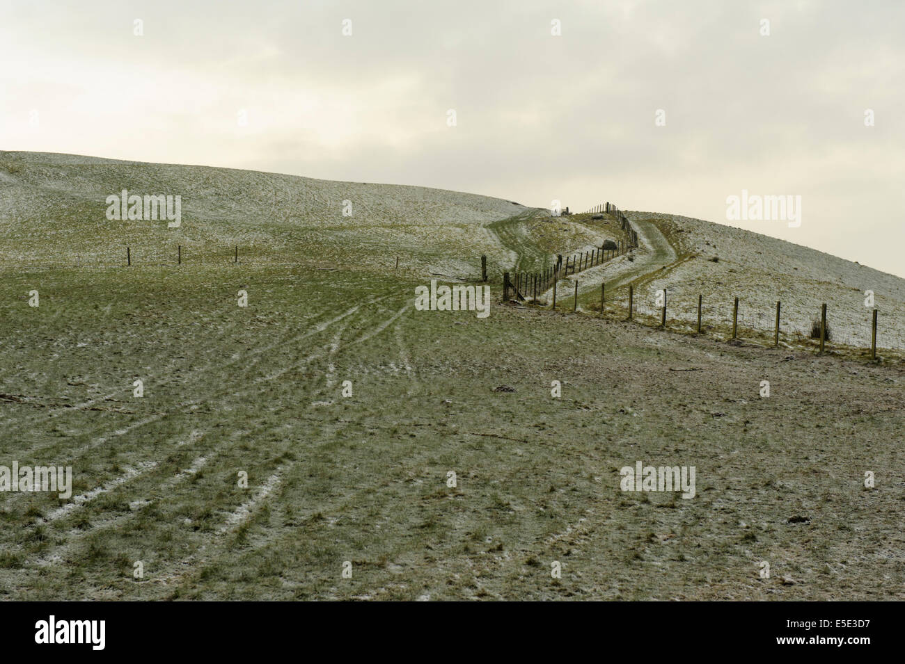 Winter morning on a Welsh hillside Stock Photo