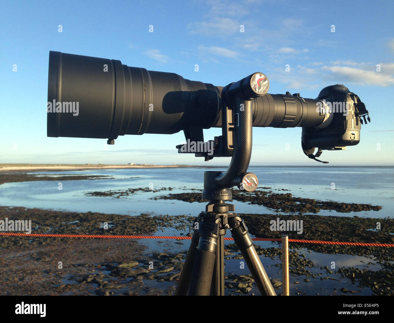 Sigmonster 200-800 mm telephoto zoom lens. Stock Photo