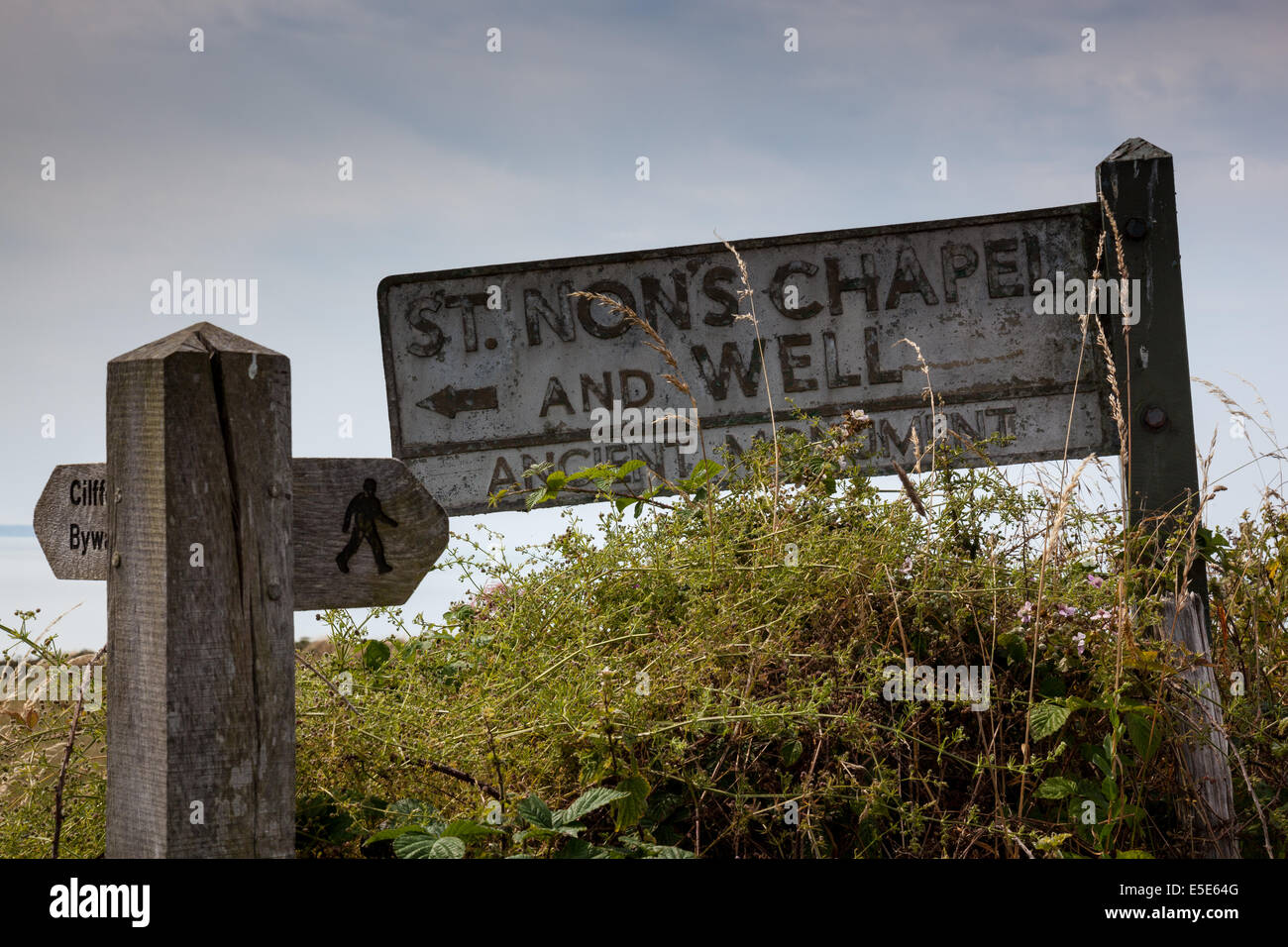 St Non's Chapel and Well Ancient Monument sign near St David's Pembrokeshire, Wales Stock Photo