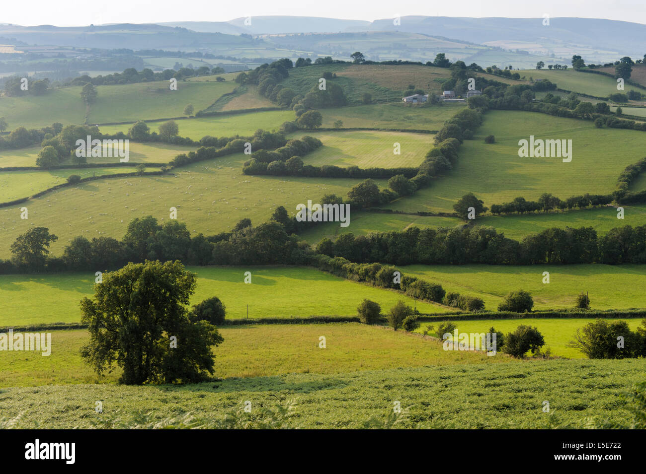 Evening view of shadows from Hergest Ridge in the Welsh borderland, Powys, UK Stock Photo