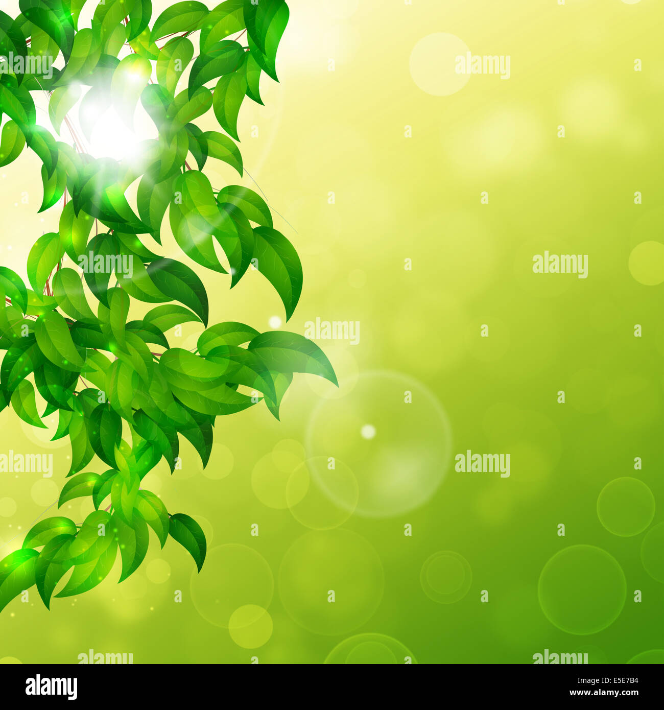 abstract fresh green leaves sunny nature background Stock Photo - Alamy