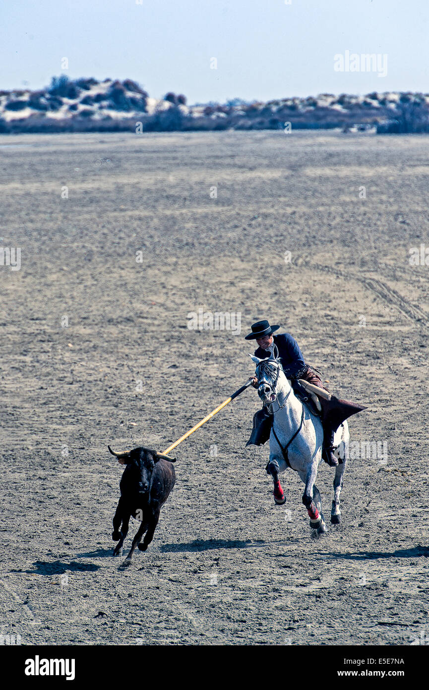 Acoso Y Derribo Saintes Maries De La Mer Folklore provencal hi-res stock photography and images - Page 5 - Alamy