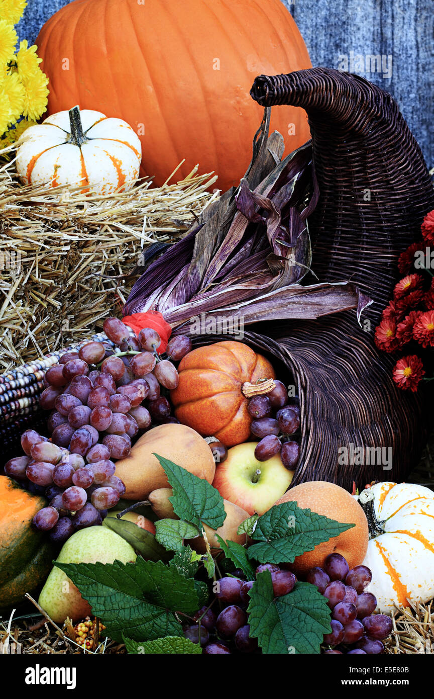 Cornucopia or Horn of Plenty Stock Photo