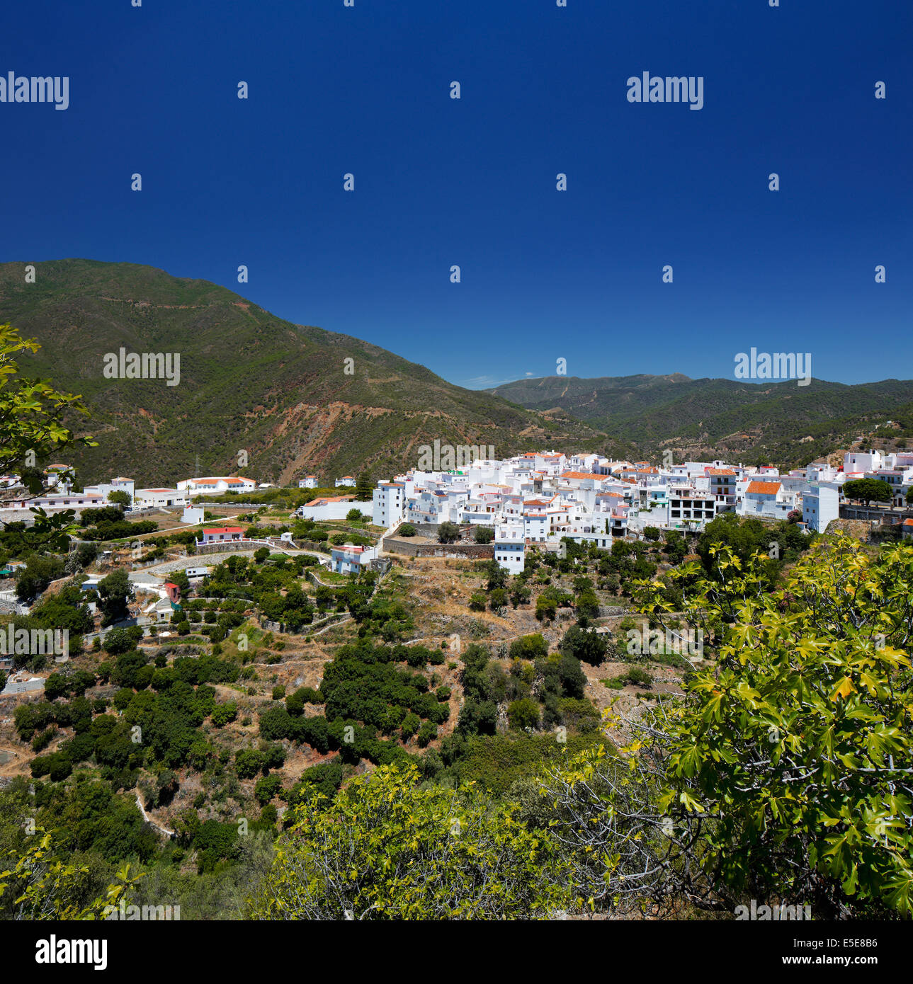 Istan is a beautiful town in the Malaga province in Andalusia, Southern Spain. It lies beneath the Sierra Blanca mountain Stock Photo