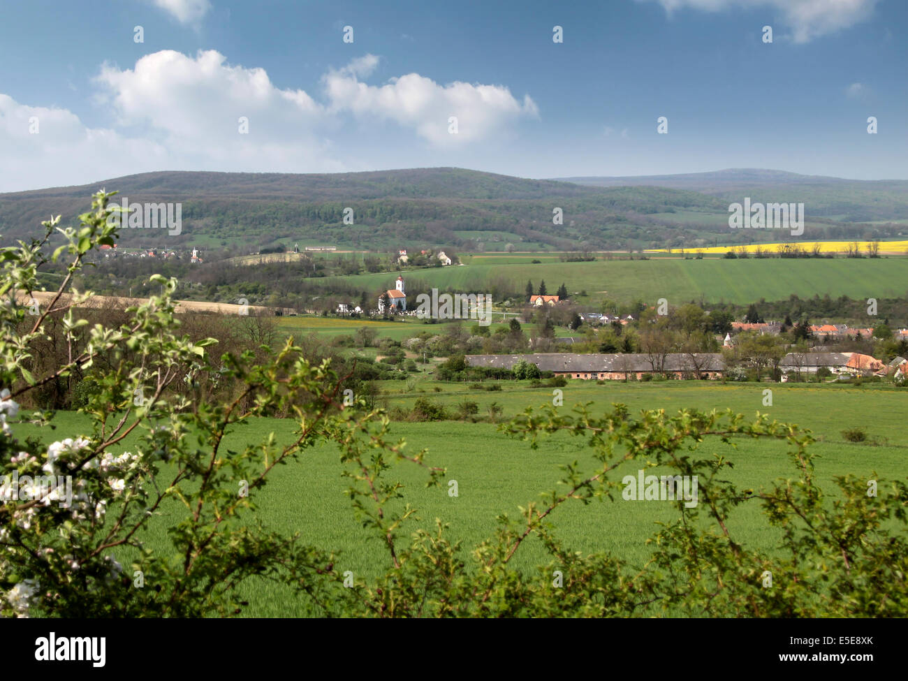 Rural landscape near Veszprem at Lake Balaton, Hungary Stock Photo
