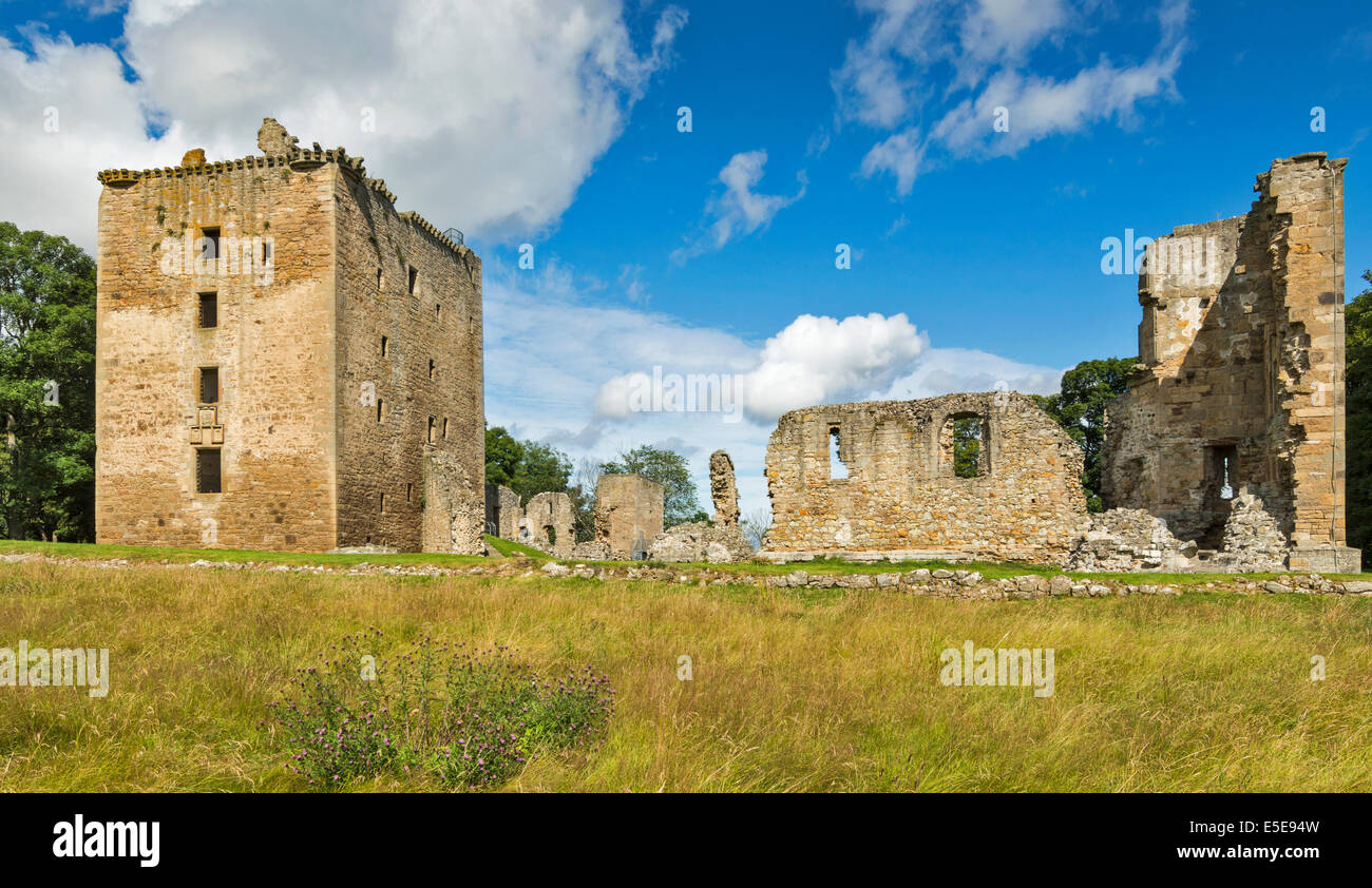 SPYNIE PALACE NEAR ELGIN MORAY THE MASSIVE DAVIDS TOWER WITH REMAINS OF THE GREAT HALL AND SMALLER TOWER Stock Photo