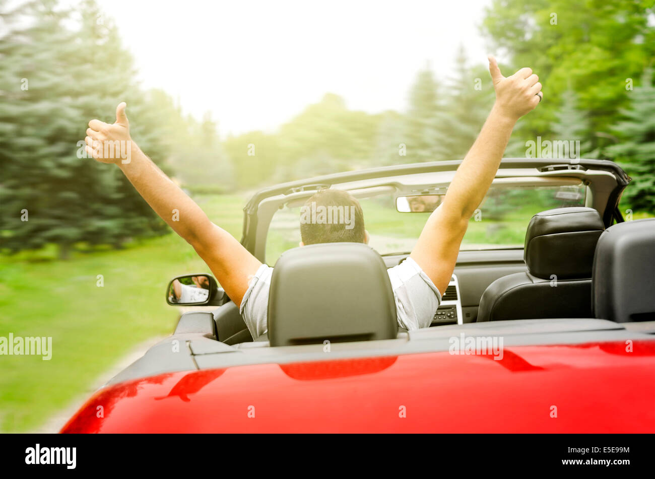 Freedom happy free man in the car Stock Photo Alamy
