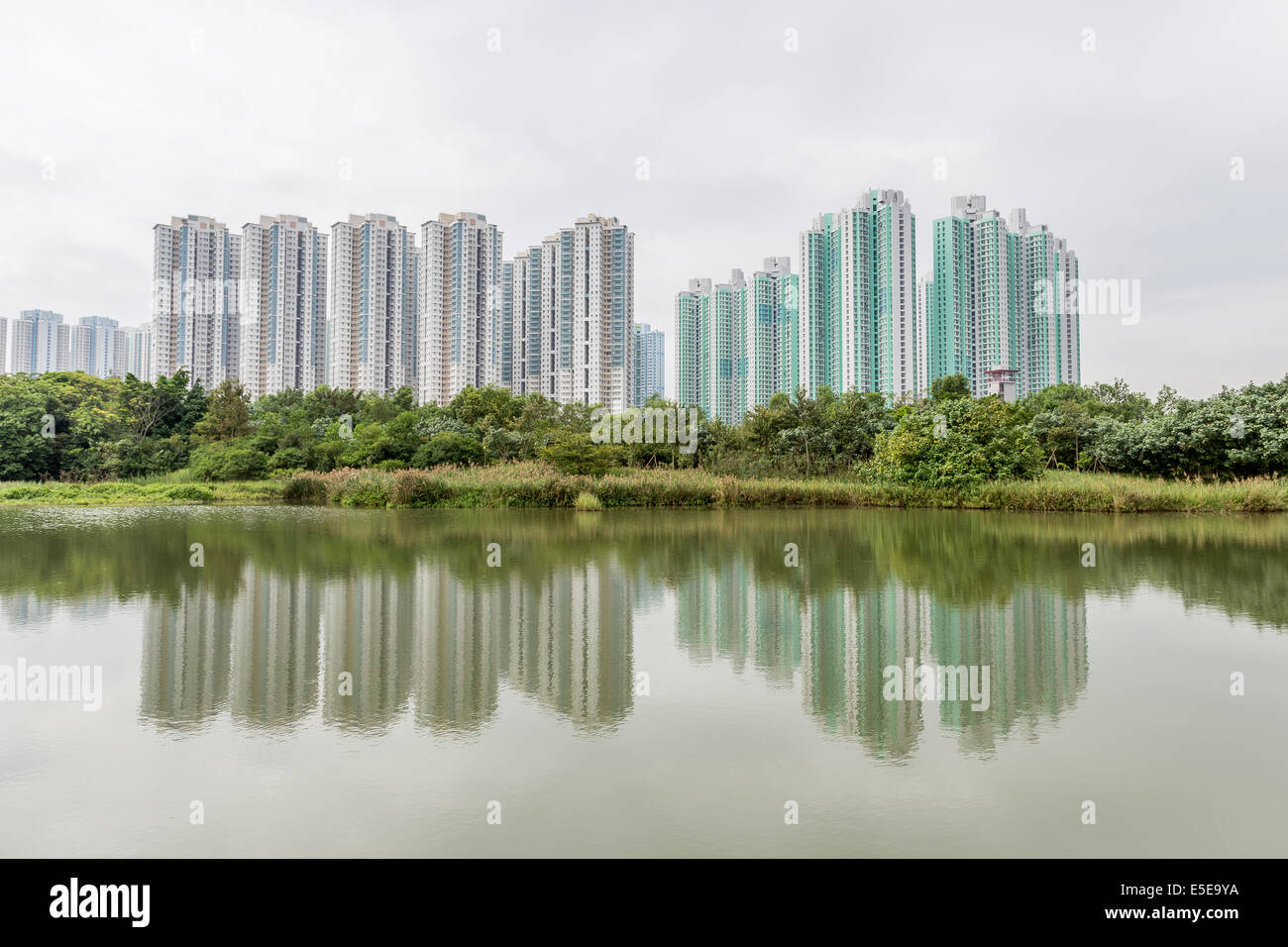 Hong Kong Wetland Park birds mangroves city view Stock Photo