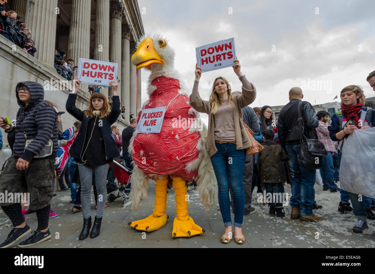 PETA activists hold protest during Pillow Fight in Trafalgar Square Stock Photo