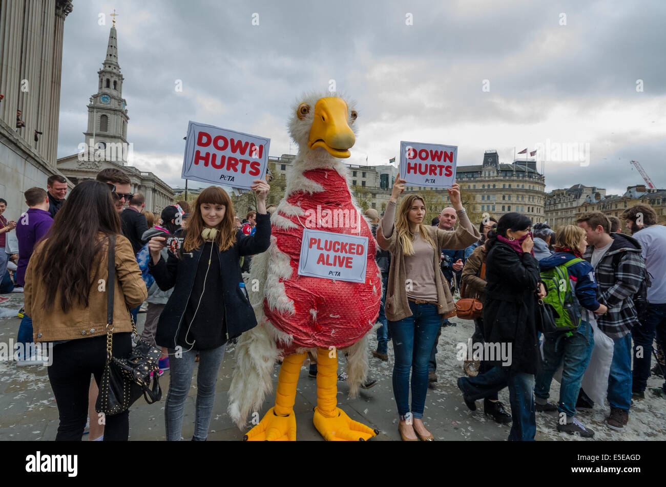 PETA activists hold protest during Pillow Fight in Trafalgar Square Stock Photo