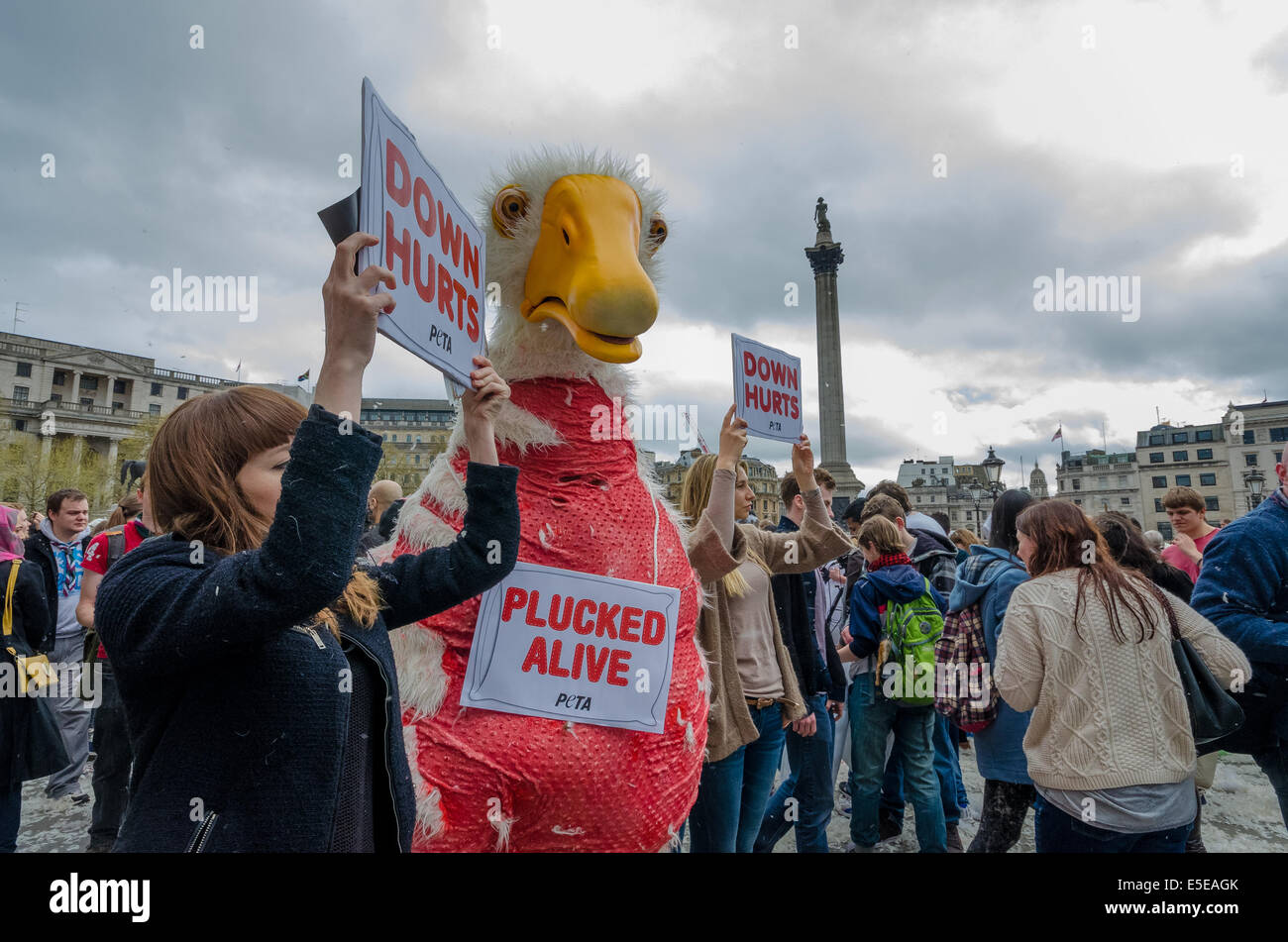 PETA activists hold protest during Pillow Fight in Trafalgar Square Stock Photo