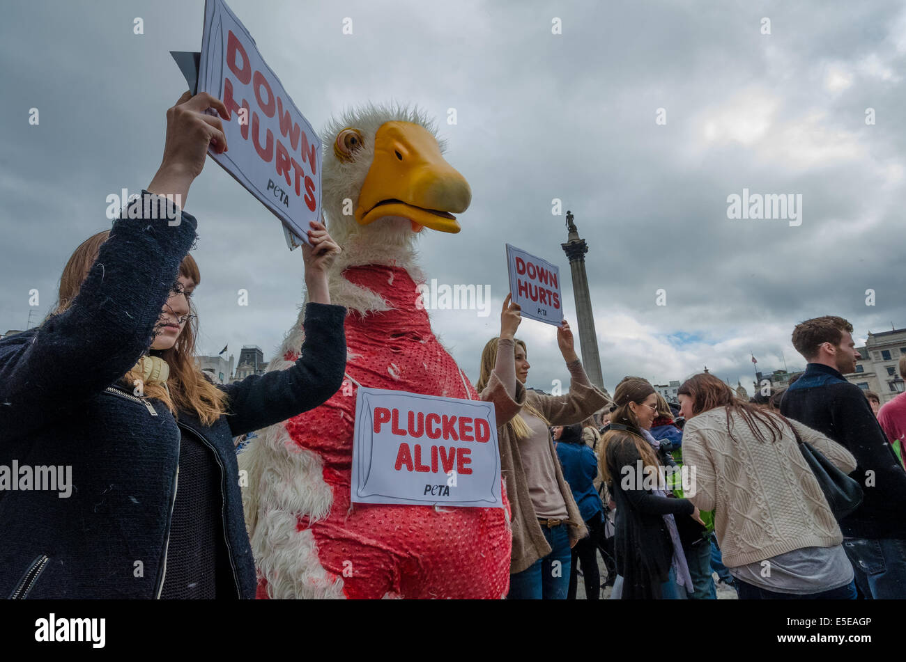 PETA activists hold protest during Pillow Fight in Trafalgar Square Stock Photo