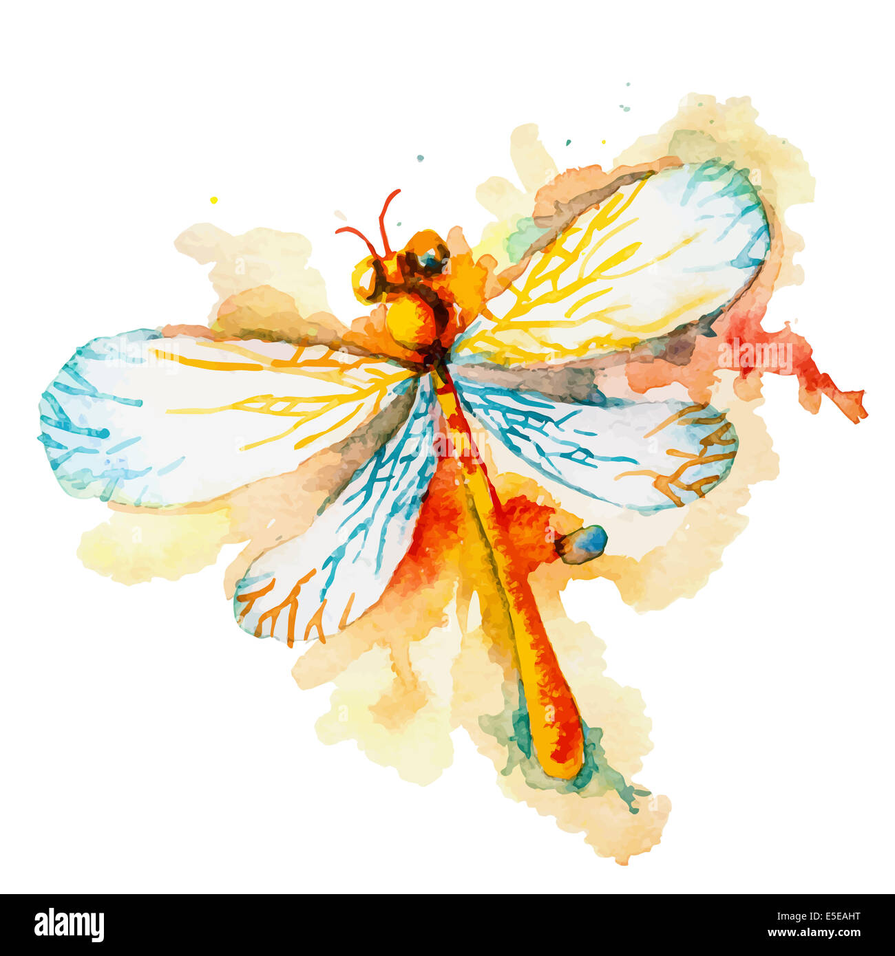 Greeting background with beautiful watercolor flying orange dragonfly Stock Photo