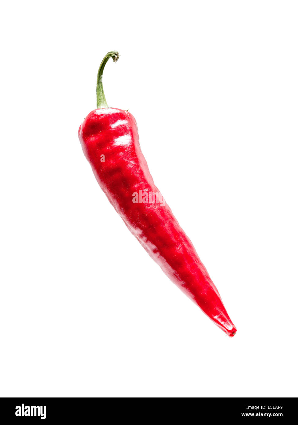 Red chili pepper shot on white Stock Photo