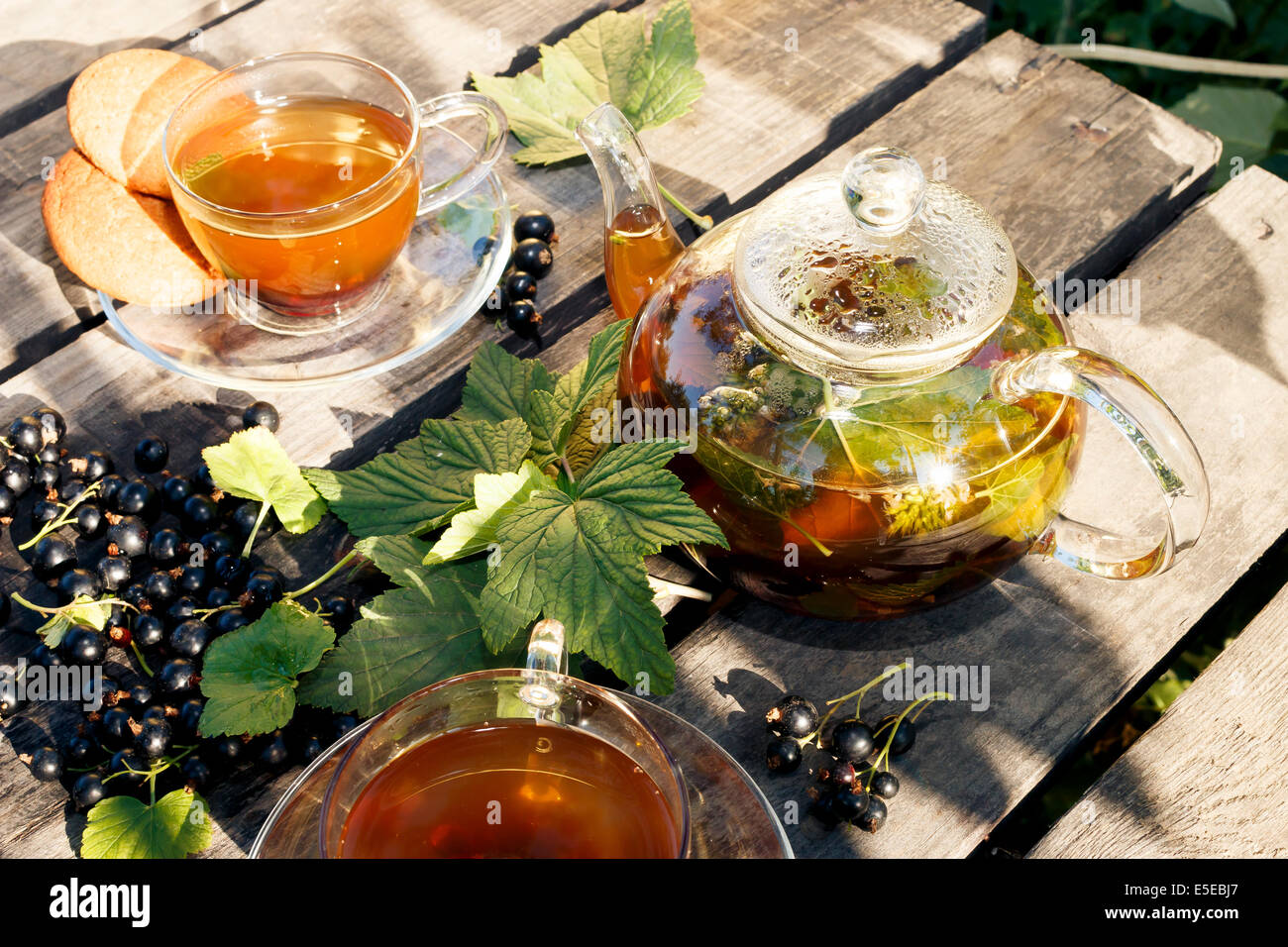 blackcurrant tea party black currant tea in cups and teapot with green