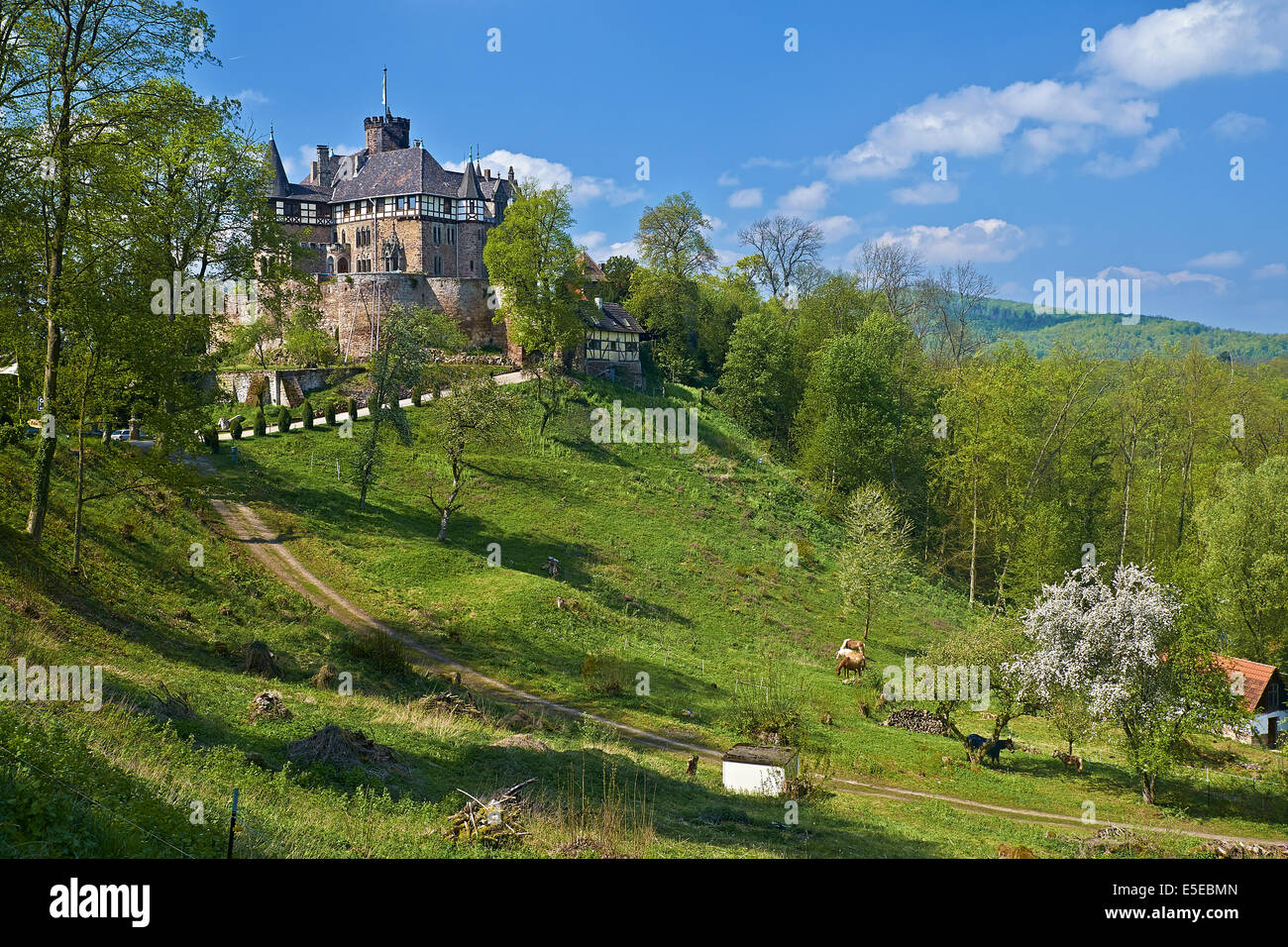 Witzenhausen hi-res stock photography and images - Alamy