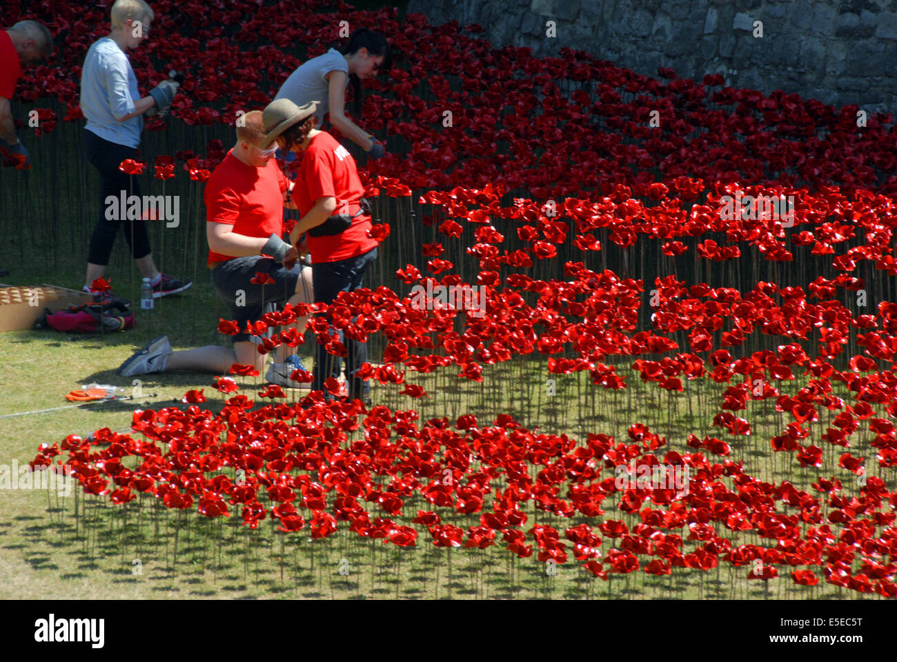 Tower of london moat soldiers hi-res stock photography and images - Alamy