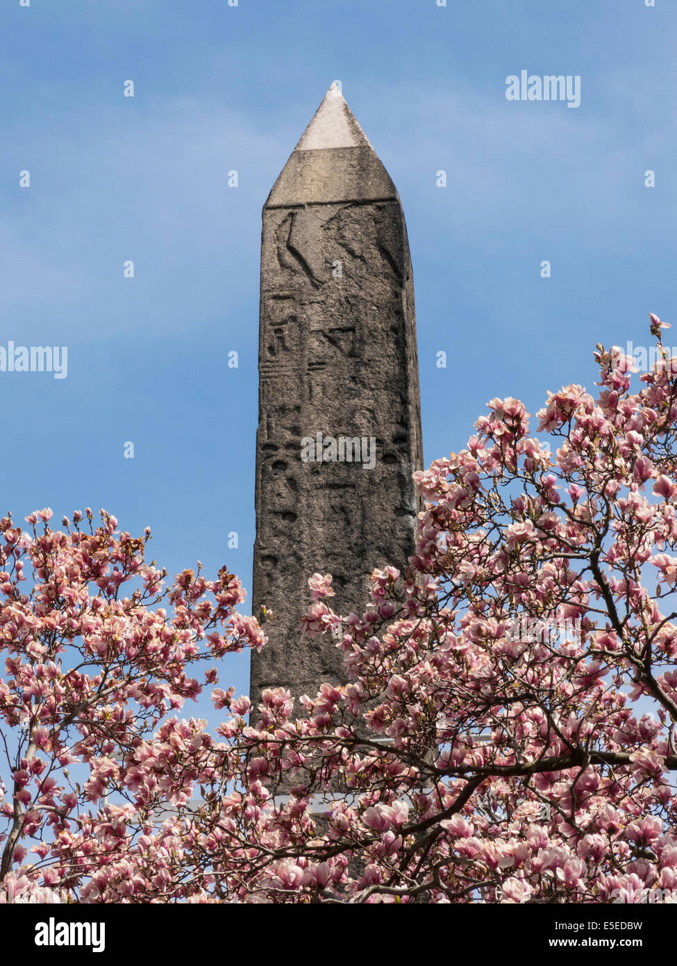 Cleopatra's Needle Obelisk, Central Park, NYC, USA Stock Photo Alamy
