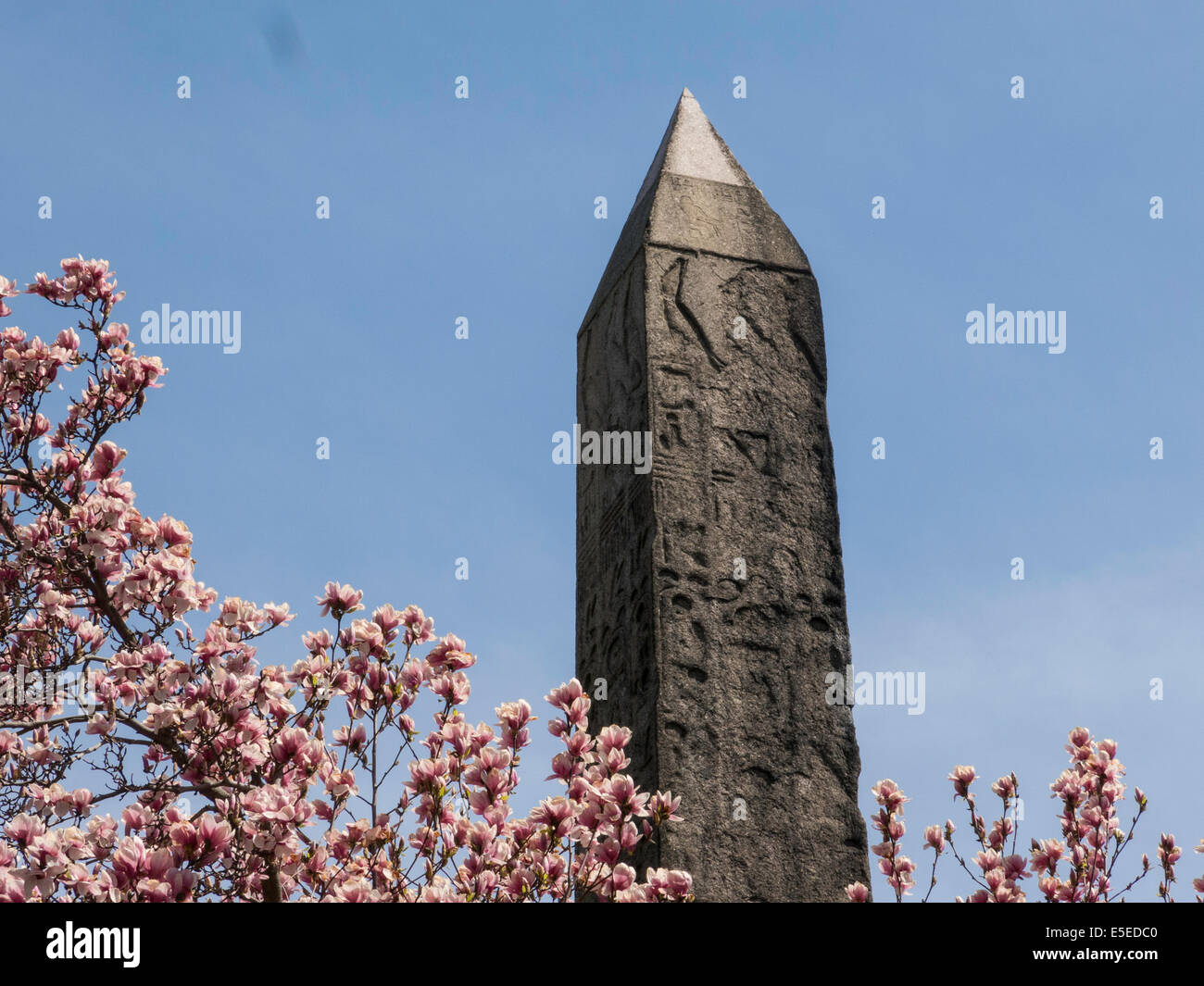 Cleopatra S Needle Obelisk Central Park Nyc Usa Stock Photo Alamy