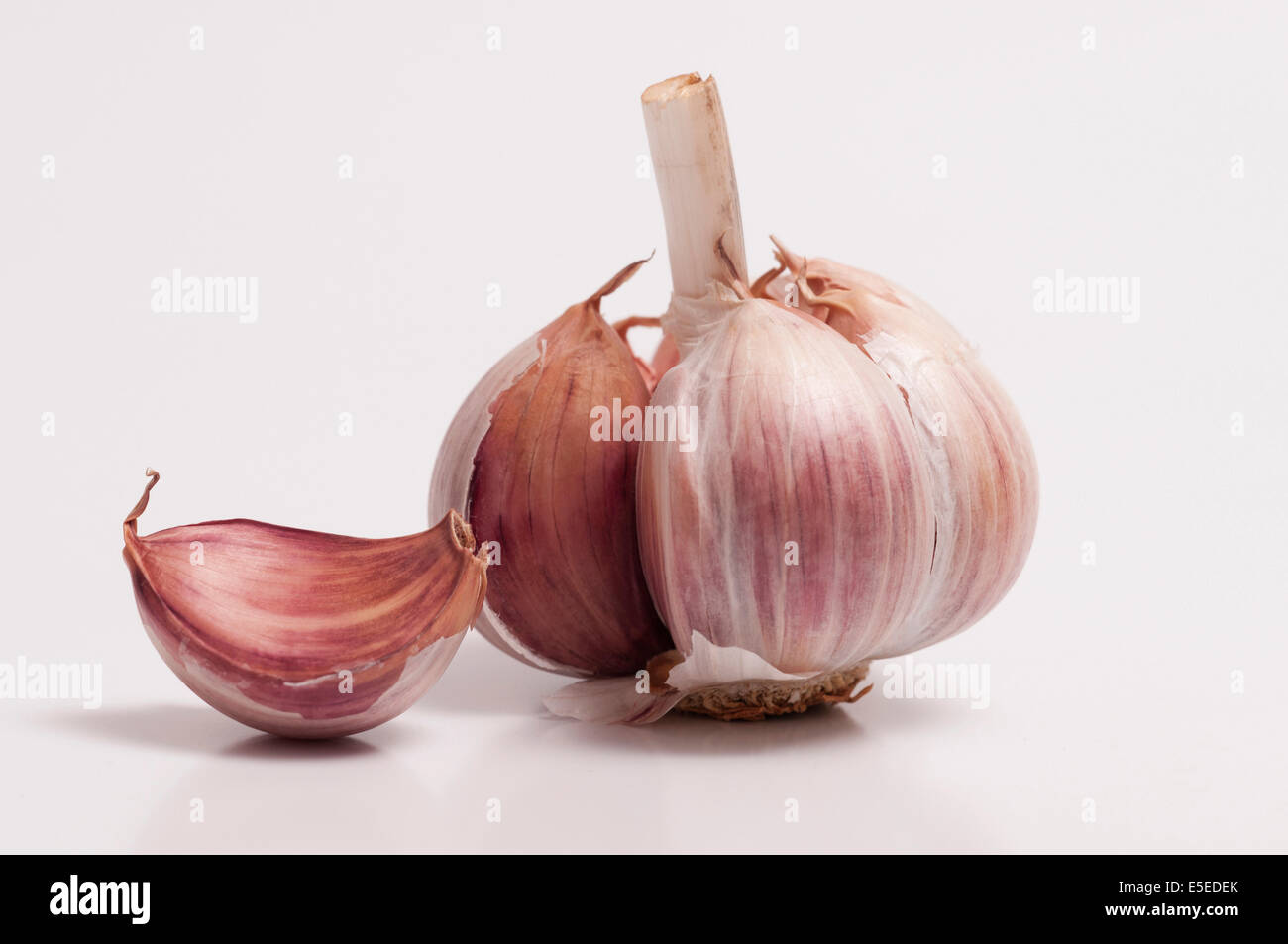 A garlic bulb and a individual clove isolated on white background Stock Photo