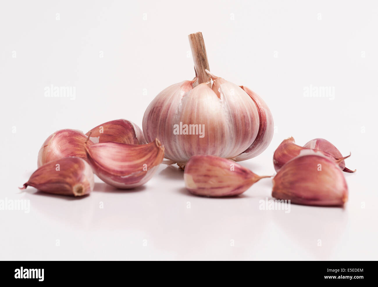 A garlic bulb and a individual cloves isolated on white background ...