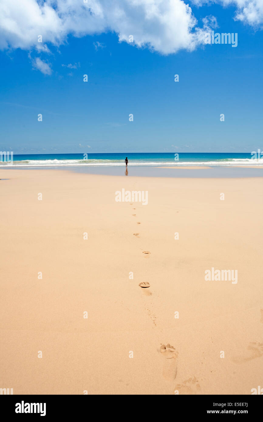 Figure in a landscape. A young woman on a deserted tropical beach on Fernando de Noronha Island in Brazil Stock Photo