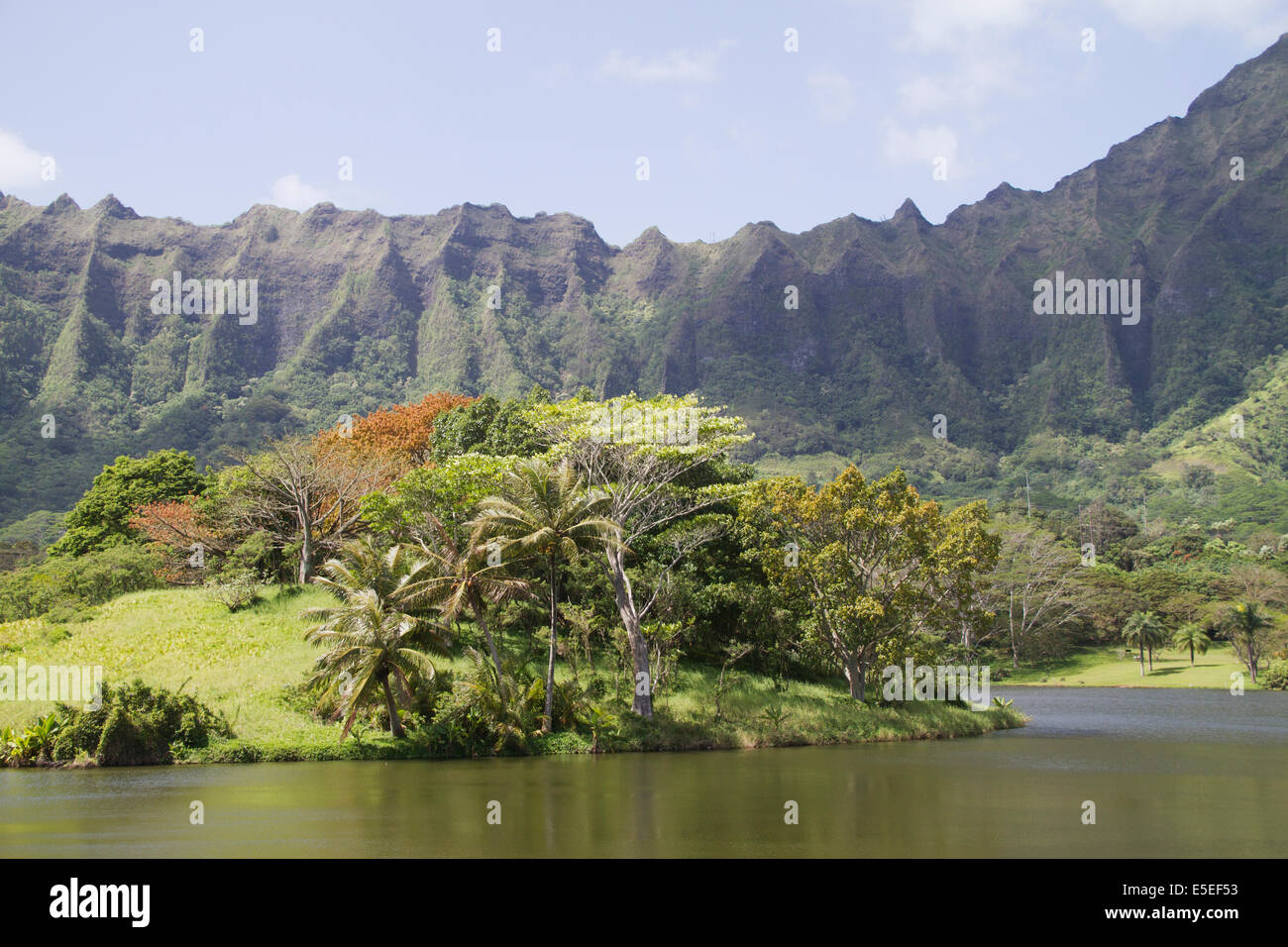 Hoomaluhia hi-res stock photography and images - Alamy