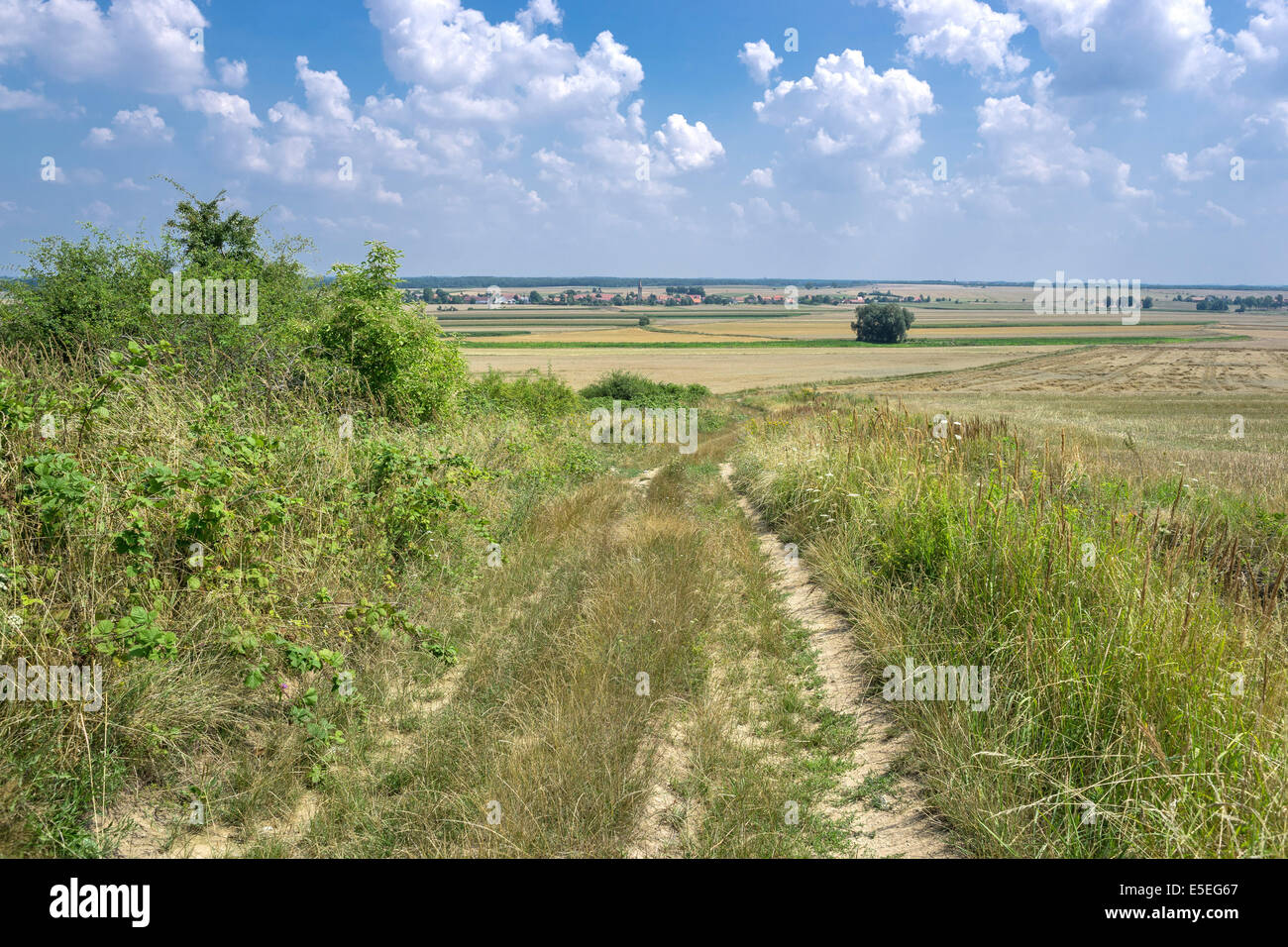 Lower Silesia summer landscape near Strzegom Stock Photo