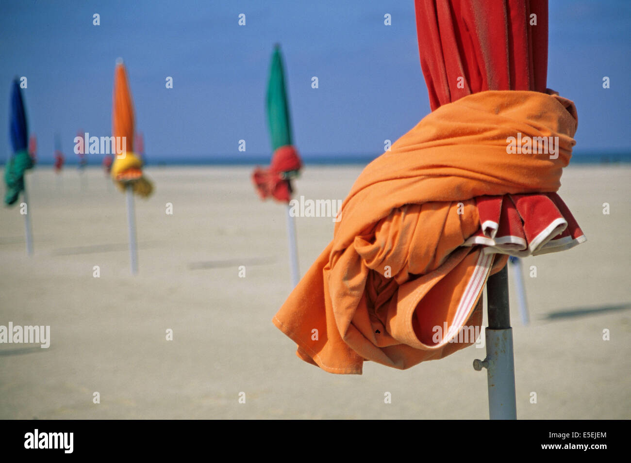 Sable Colour Stock Photos Sable Colour Stock Images Alamy