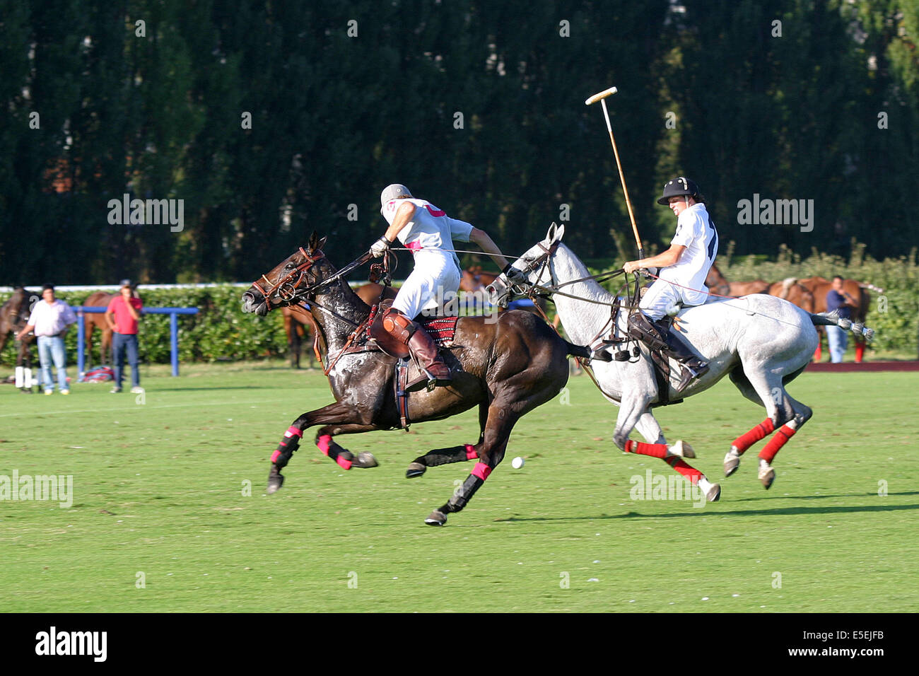 Polo logo 2025 cheval