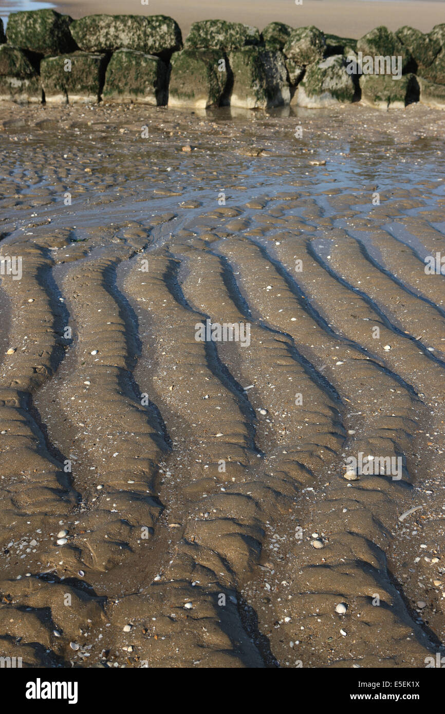 France Basse Normandie Calvados Cabourg Plage Maree