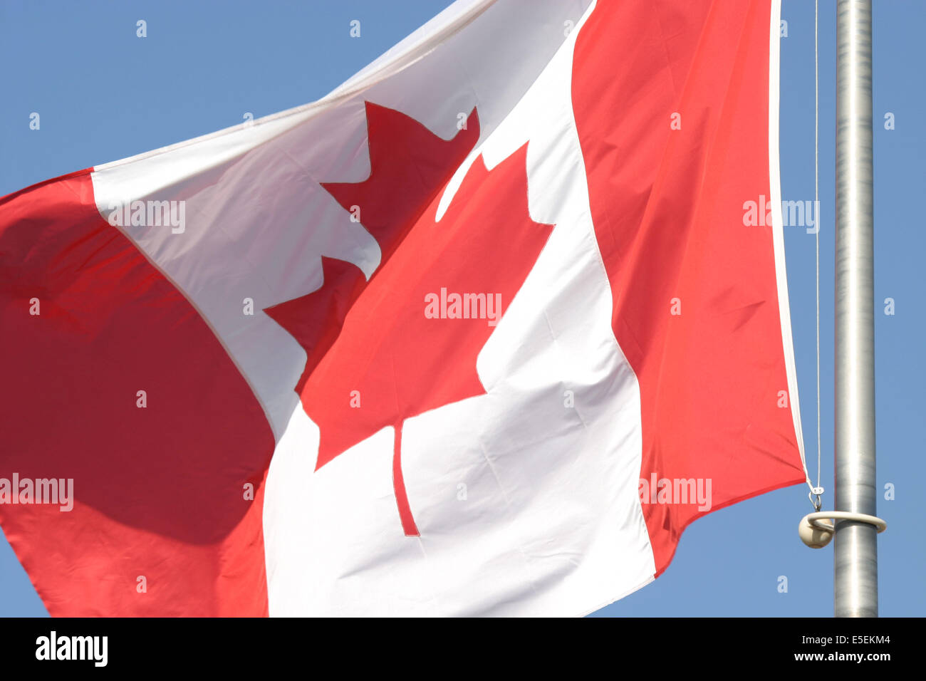 Drapeau Canadien High Resolution Stock Photography And Images Alamy Drapeau Canadien High Resolution Stock Photography And Images Alamy