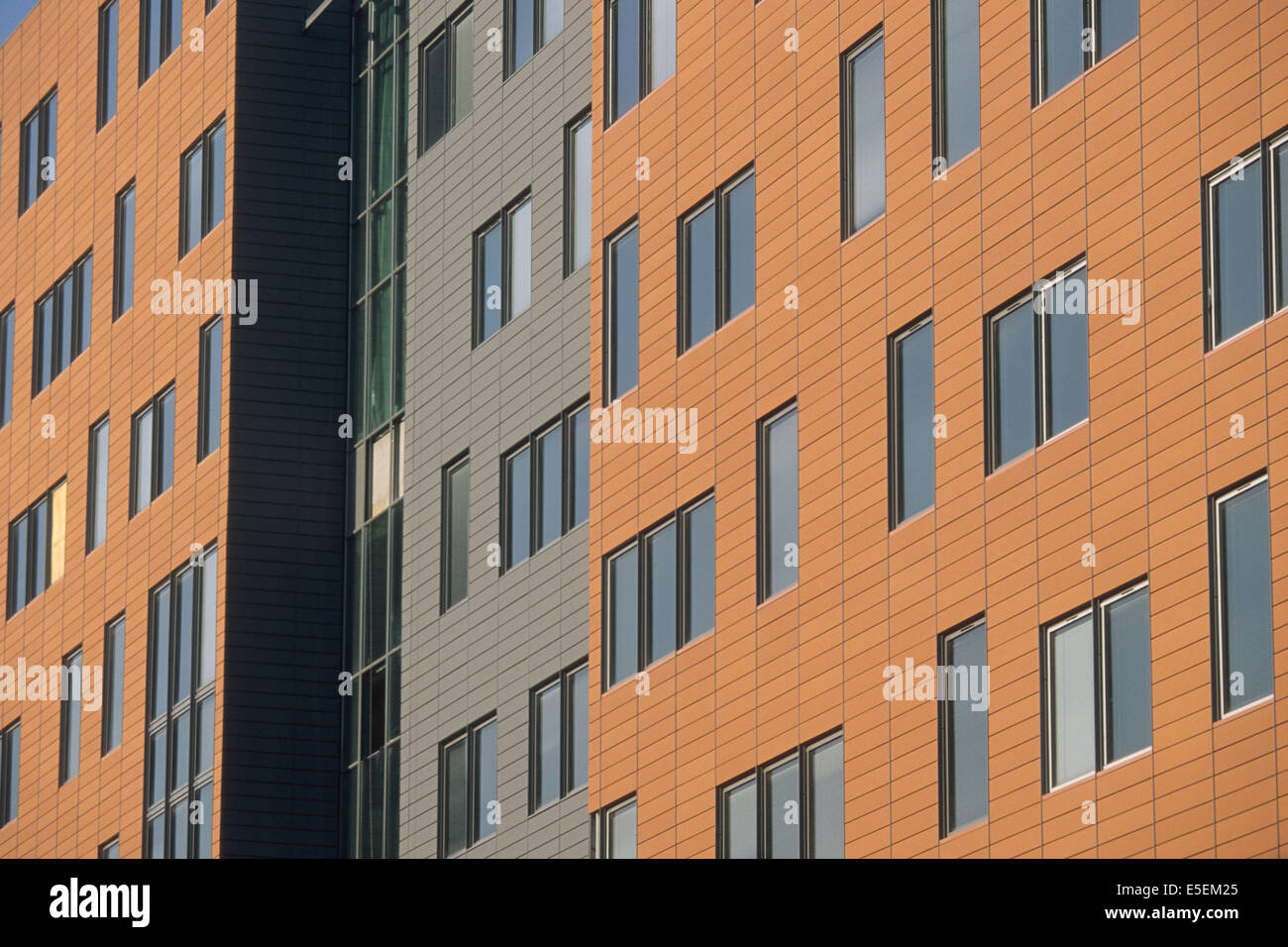 France, paris 13e, quartier bibliotheque, immeubles avenue de france, architecture, fenetres, Stock Photo