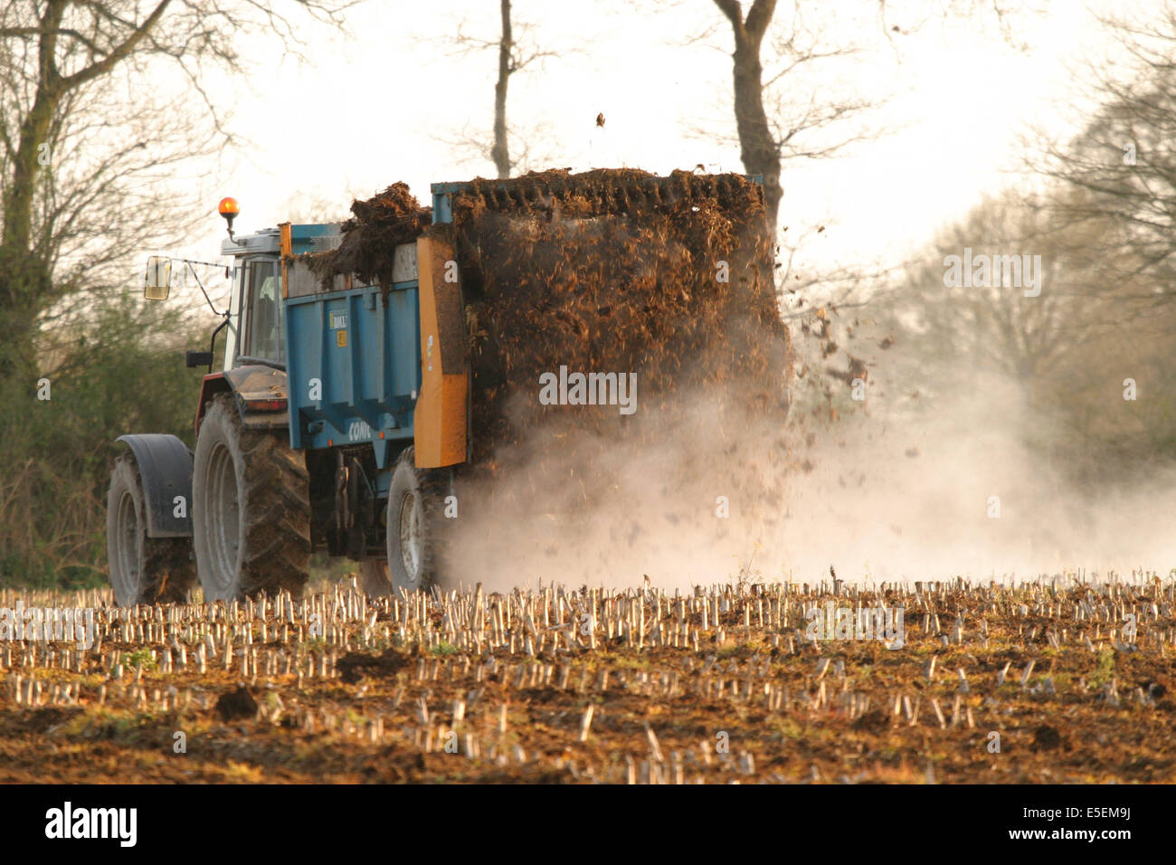 France: Normandie, agriculture, tracteur, champ, epandage de fumier, engrais, Stock Photo